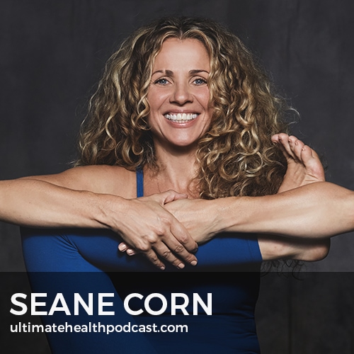 310: Seane Corn - Revolution Of The Soul, Yoga Is An Art, Understanding The Chakras