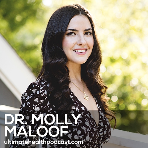 Use These Daily Hacks to Reduce Inflammation, Boost Energy & Live Longer | Dr. Molly Maloof (#519)