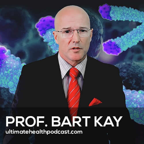 These Foods & Habits Reduce Inflammation & Prevent Disease | Prof. Bart Kay (#591)
